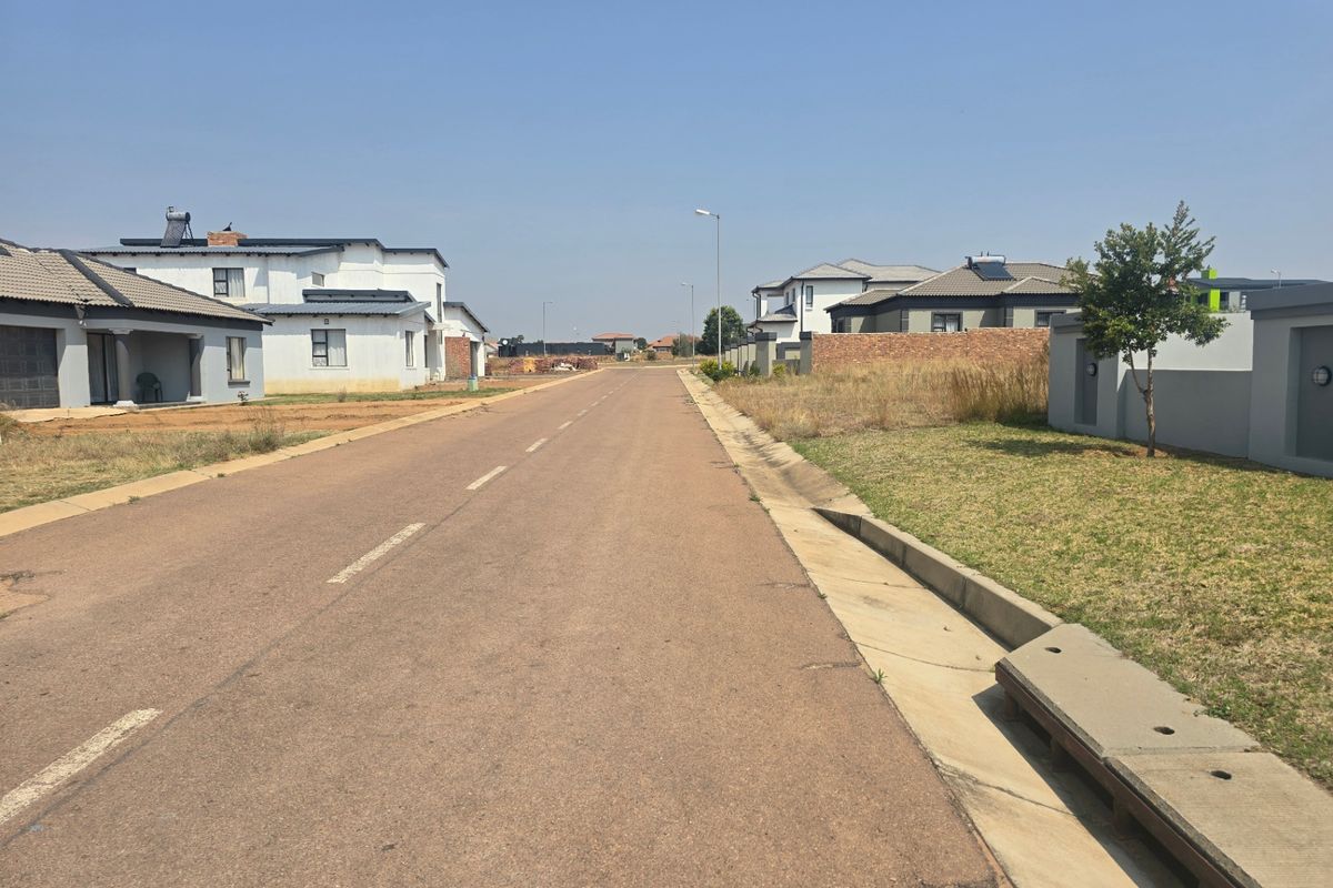 A view of a paved residential street in a modern estate, featuring established homes, concrete curbing, and street lighting.