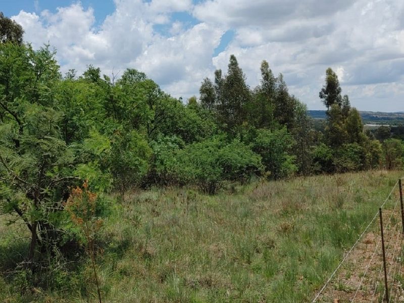 Vacant Land For Sale In Rayton - Photo 9