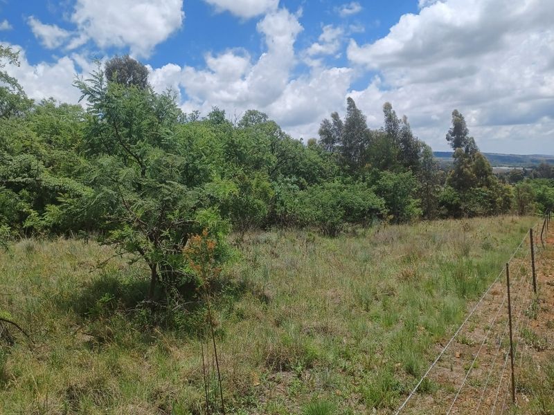 Vacant Land For Sale In Rayton - Photo 4