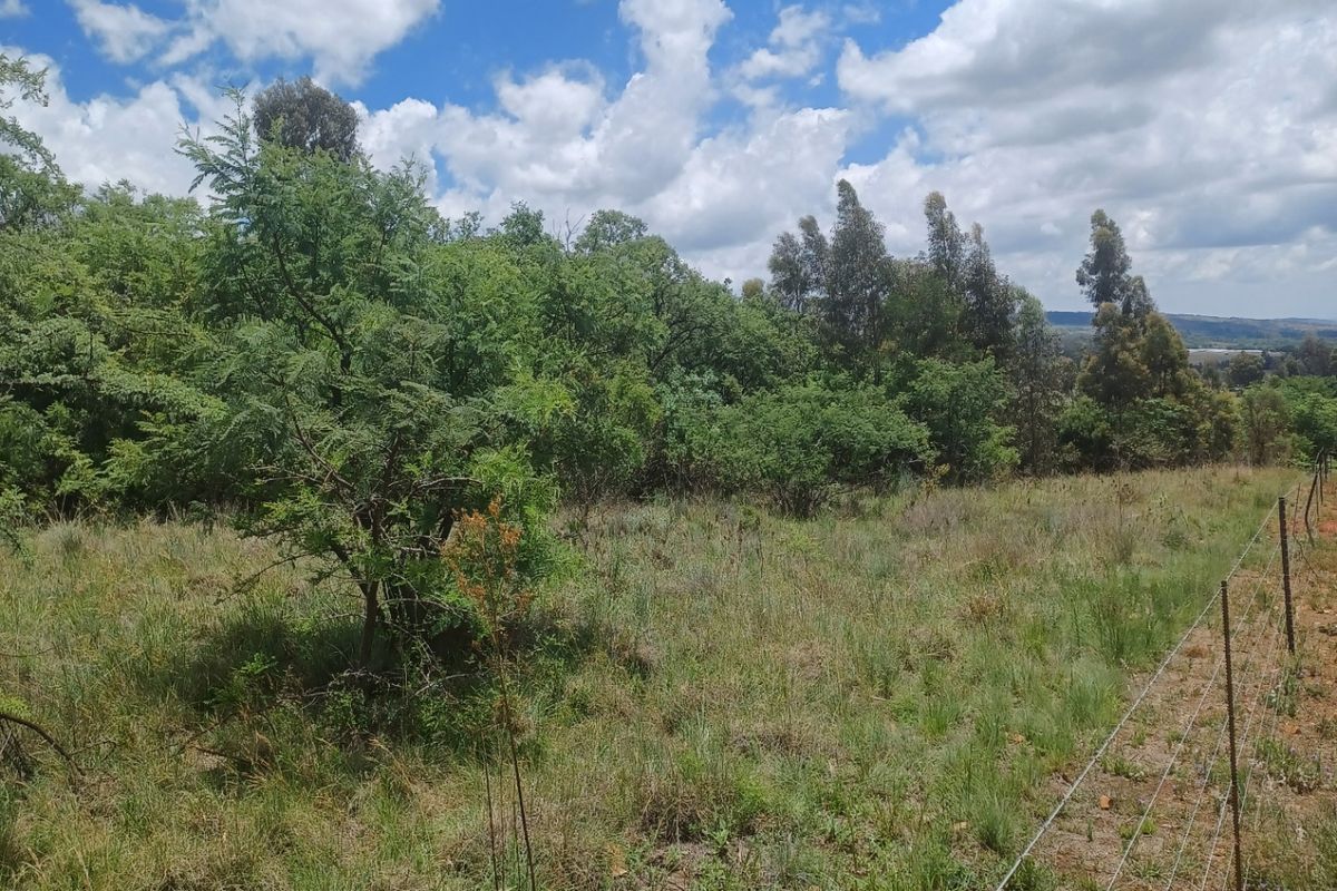 A view of the vacant residential land featuring natural vegetation, mature trees, and a wire perimeter fence under a clear blue sky.