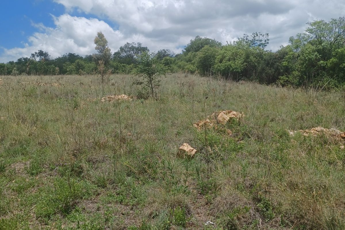A view of the vacant residential land featuring natural grass, scattered rocks, and established trees in the background.