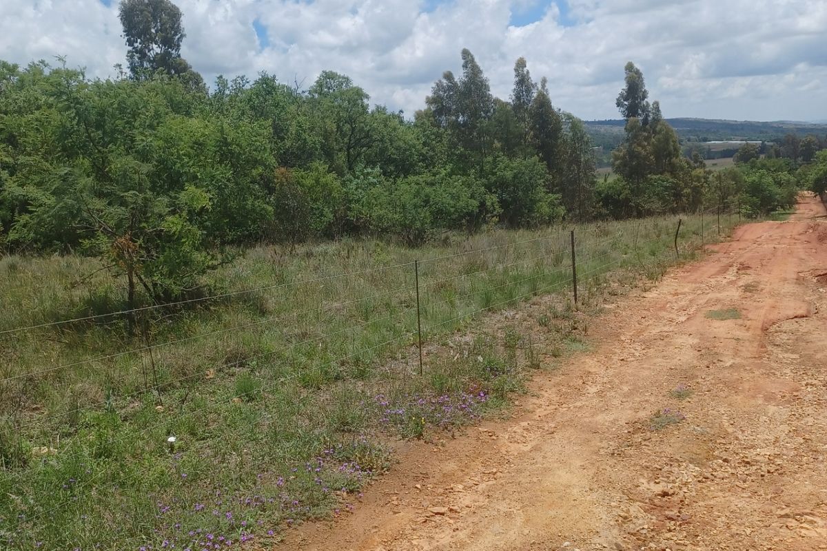 A view of the vacant land property featuring a dirt access road and perimeter wire fencing alongside natural vegetation.