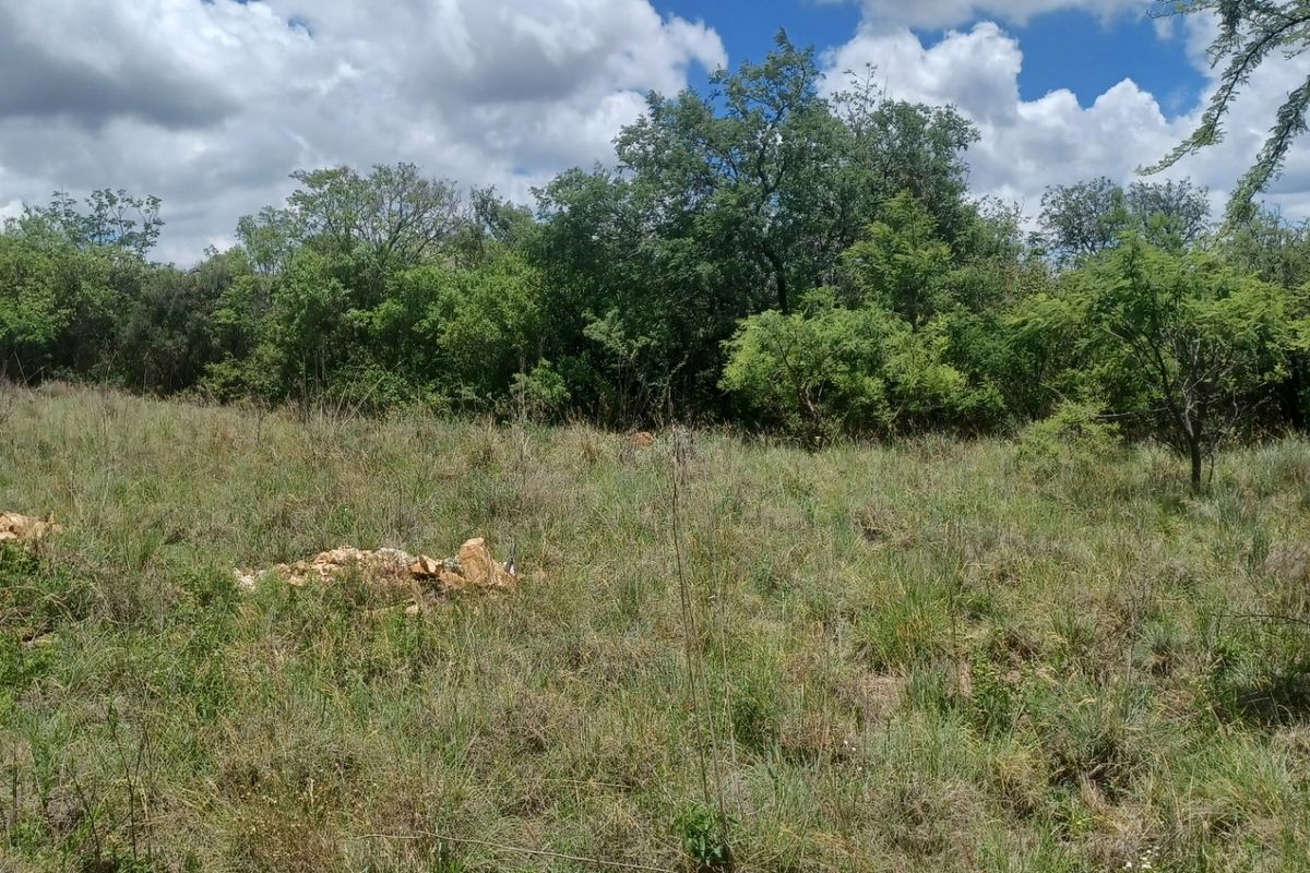 A view of the vacant residential land featuring natural grass cover and established trees, suitable for future development.