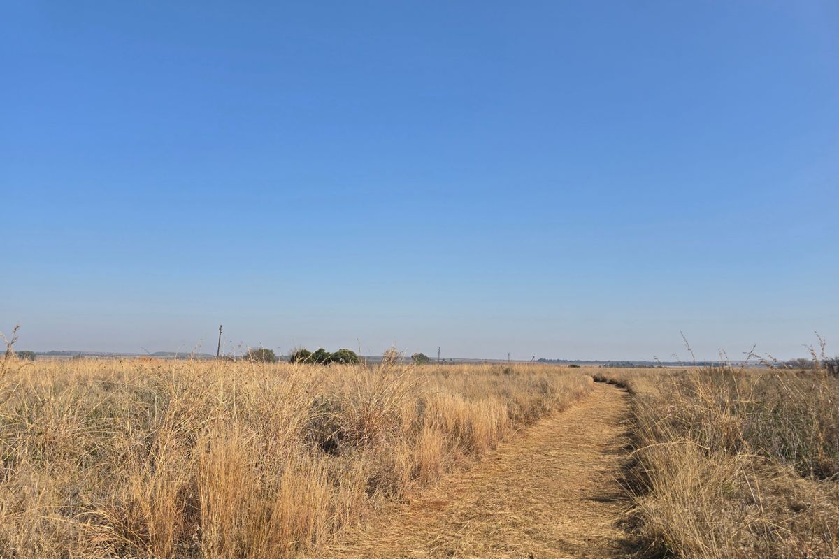 A view of the vacant residential land featuring dry grass and a natural dirt path stretching across the open field.