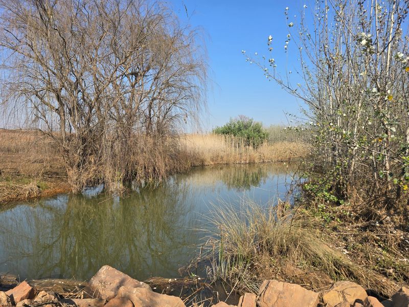 Vacant Land For Sale In Cullinan - Photo 2