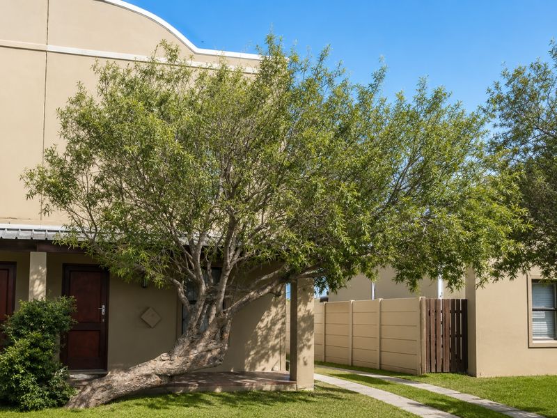 Front exterior view of the house featuring a covered entrance, paved driveway, and established tree in the front garden area.