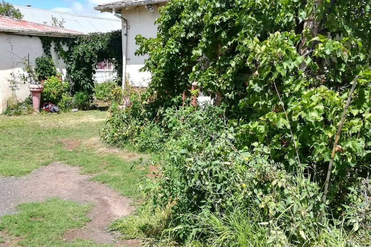 Rear garden area featuring a detached garage, paved sections, and established overgrown vegetation requiring maintenance.