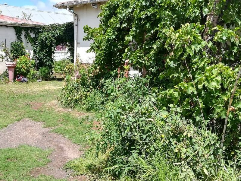 House For Sale In Steynsburg - Photo 4
