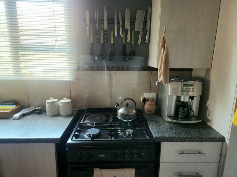 A functional kitchen area featuring a gas hob, electric oven, tiled splashback, and laminate cabinetry with ample counter space.