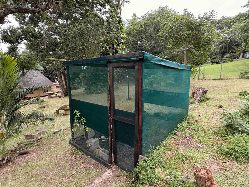 House For Sale In Port Shepstone - Photo 5