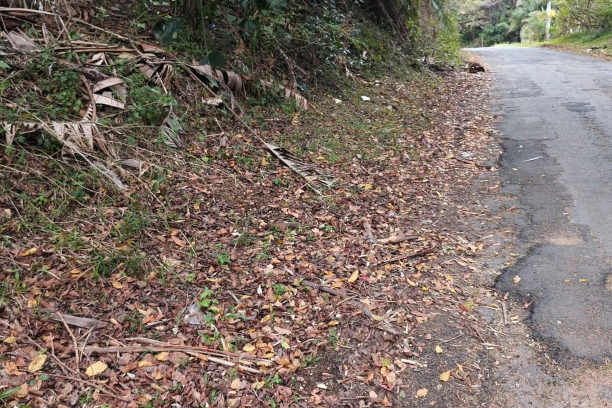 A view of the asphalt road and verge adjacent to the vacant land, showing signs of surface wear and potholes.