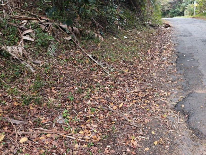 A view of the asphalt road and verge adjacent to the vacant land, showing signs of surface wear and potholes.