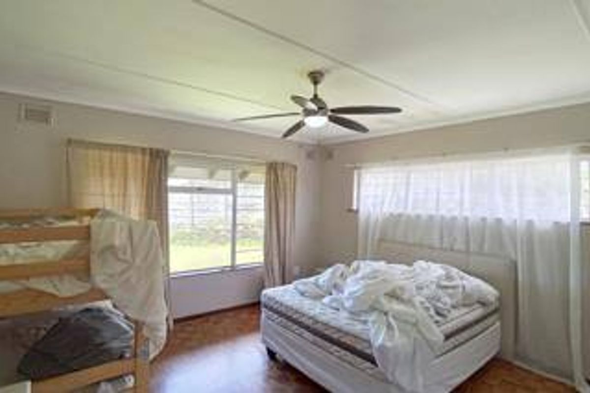 A spacious bedroom featuring timber flooring, a ceiling fan, and large windows that provide ample natural light.