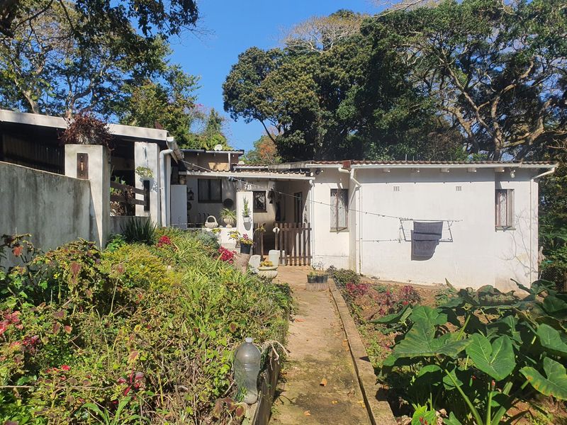 Rear view of the townhouse featuring a concrete pathway, established garden beds, and exterior wall access with mature trees in the background.
