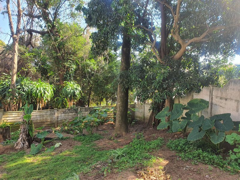 A private, tree-lined garden area featuring established greenery and a precast concrete boundary wall, offering a natural and secluded outdoor space.