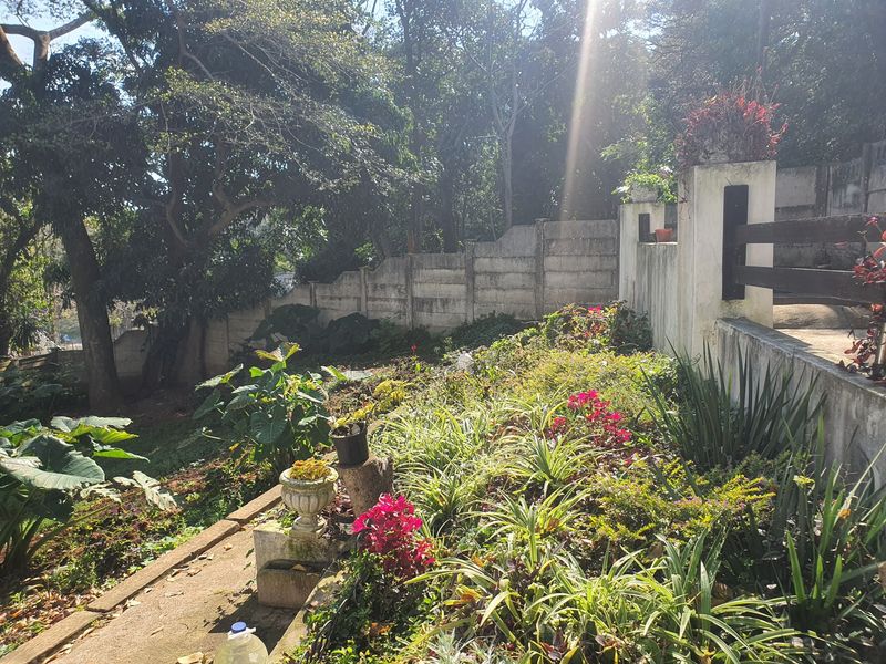 A sloped garden area featuring established landscaping, a concrete retaining wall, and a paved pathway leading through the outdoor space.