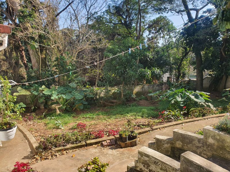 A rear garden area featuring a concrete patio with stairs, a boundary wall, and established trees and shrubs.