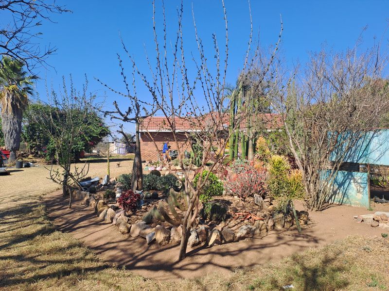 A landscaped garden area featuring a rock-bordered bed with various cacti and shrubs, set against a brick farm building with a tiled roof.