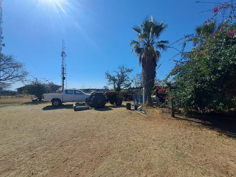 A wide-angle view of the farm grounds featuring mature palm trees, flowering bougainvillea, and open land space.