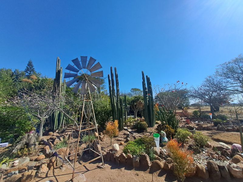 A well-maintained farm garden featuring a decorative metal windmill, established cacti, and natural rock landscaping under a clear blue sky.