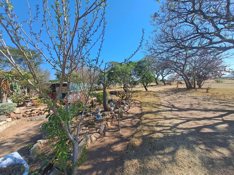 A spacious farm garden featuring mature trees, established rockery beds, and natural landscaping under a clear blue sky.