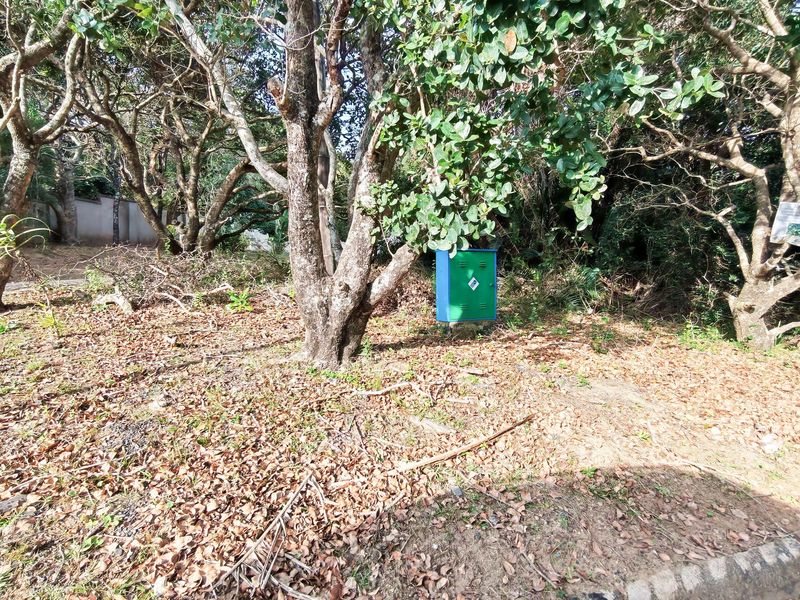 A view of a vacant residential plot featuring mature trees and a fixed electrical utility box on the property.