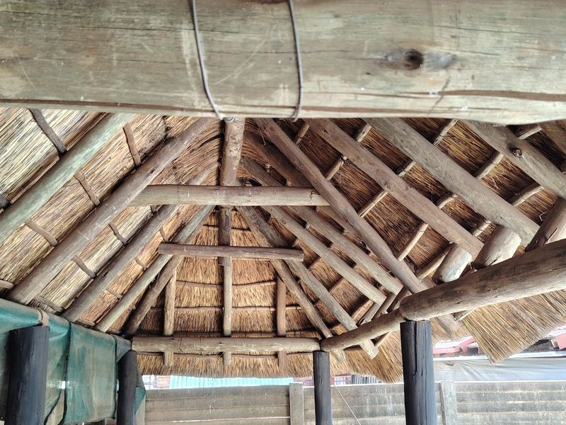 Outdoor patio area featuring a traditional thatched roof with exposed timber rafters and support posts, enclosed by a concrete boundary wall.