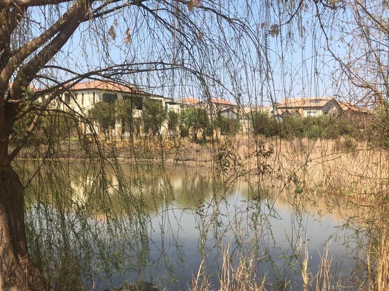 A scenic view of a tranquil pond surrounded by mature trees, with residential properties visible in the background.