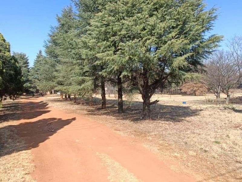 A view of the farm grounds featuring a dirt driveway lined with mature trees and open grass areas.