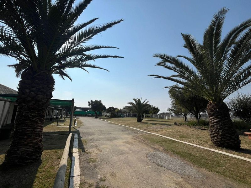 An outdoor view of a commercial property featuring a paved driveway, mature palm trees, and landscaped lawn areas.