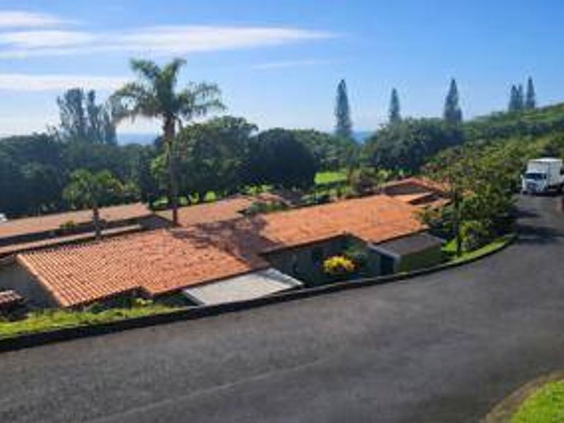 An elevated aerial view of the townhouse complex featuring tiled roofs, surrounding lush greenery, and a paved driveway.