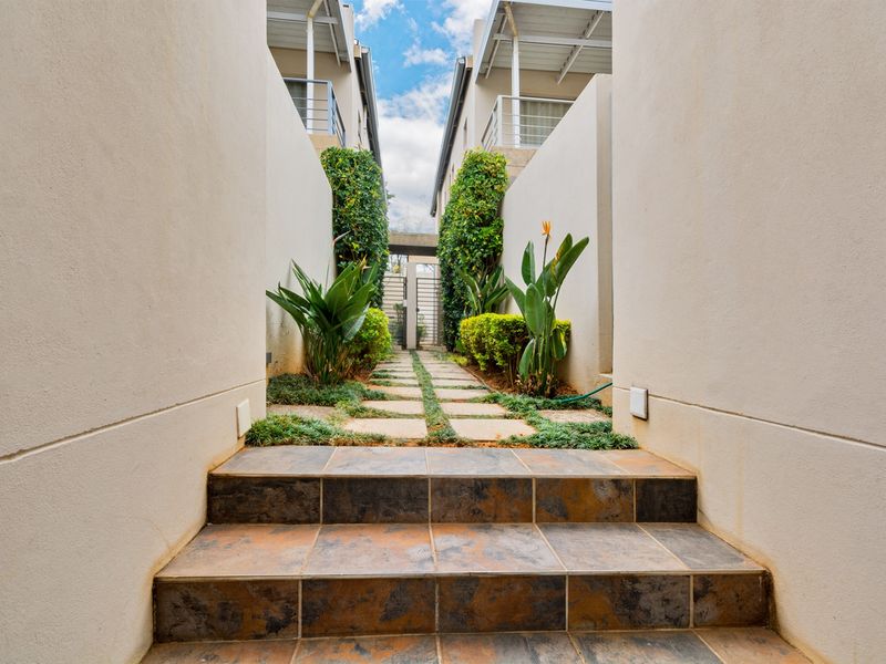 A well-maintained exterior walkway featuring tiled steps leading to a paved path between two townhouse units with landscaped garden borders.