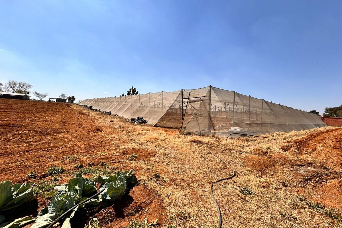 Large agricultural greenhouse structure with protective netting, situated on open farmland with visible irrigation infrastructure.