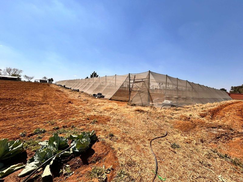 Large agricultural greenhouse structure with protective netting, situated on open farmland with visible irrigation infrastructure.