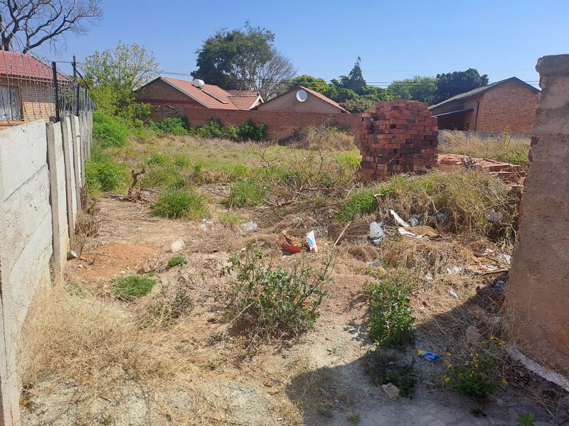 A view of a vacant residential plot featuring boundary walls and overgrown vegetation, requiring clearing and site preparation.