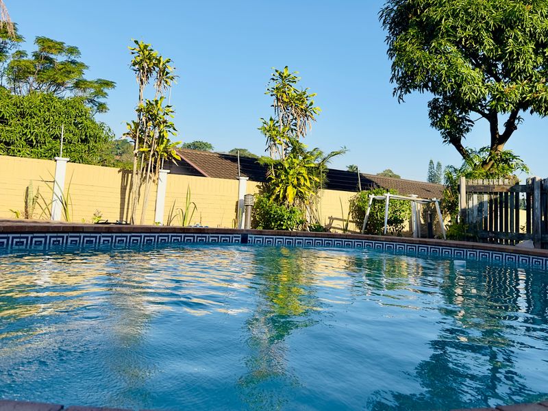 A well-maintained swimming pool area featuring decorative tiled coping, surrounded by a perimeter boundary wall and established garden greenery.