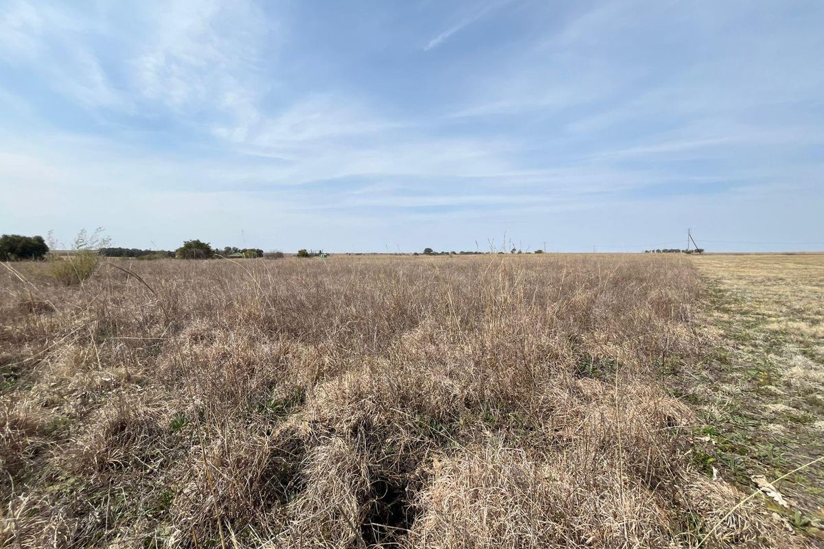 A wide-angle view of an expansive, open farm field with dry vegetation under a clear blue sky.
