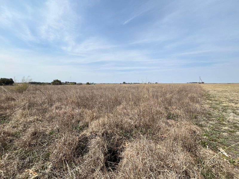A wide-angle view of an expansive, open farm field with dry vegetation under a clear blue sky.