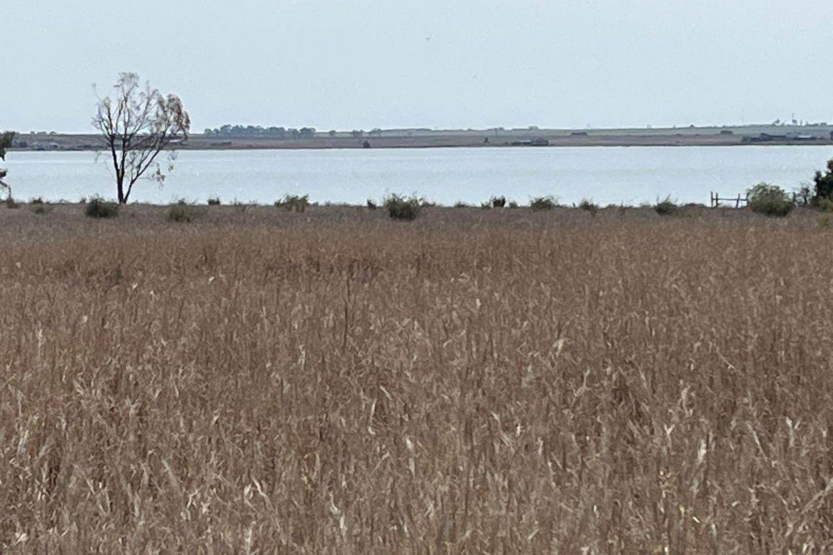 A scenic view of the open farm landscape featuring a large body of water in the distance.