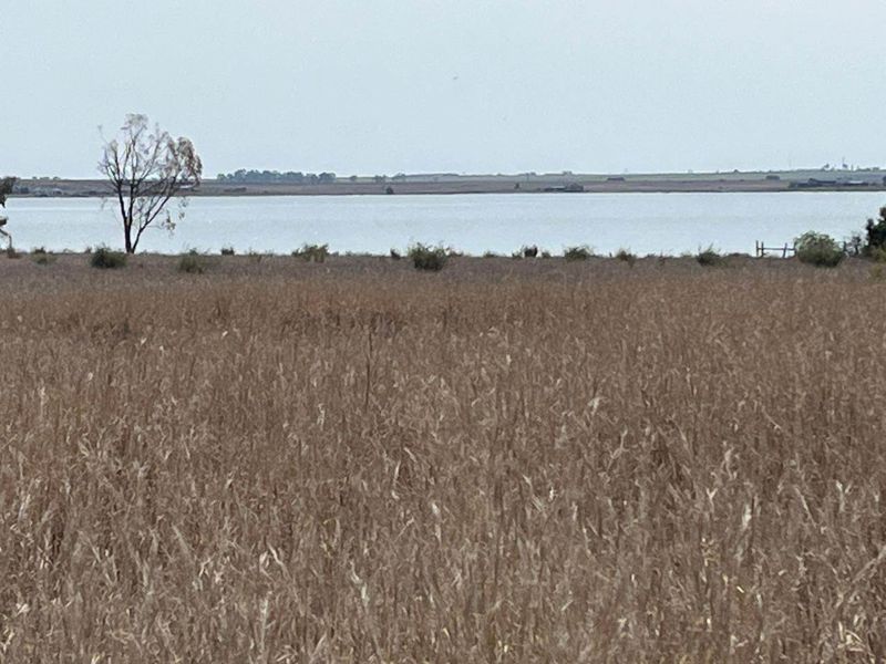A scenic view of the open farm landscape featuring a large body of water in the distance.