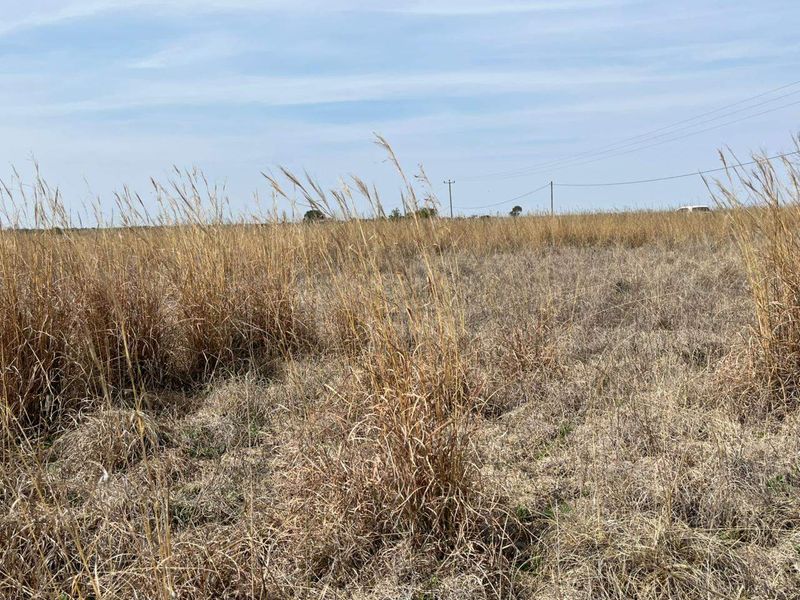An expansive view of open, dry grassland on the farm property, featuring visible power lines stretching across the horizon.