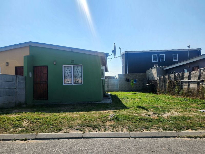 Front view of a single-story house featuring a green facade, security gate, and a spacious front yard with a concrete boundary wall.