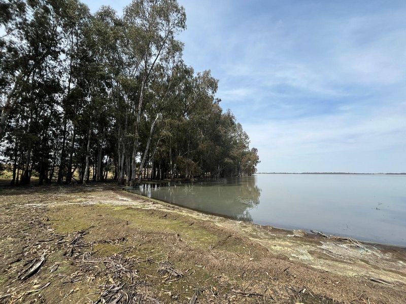 A scenic view of the farm property featuring natural lake frontage bordered by a line of mature eucalyptus trees.