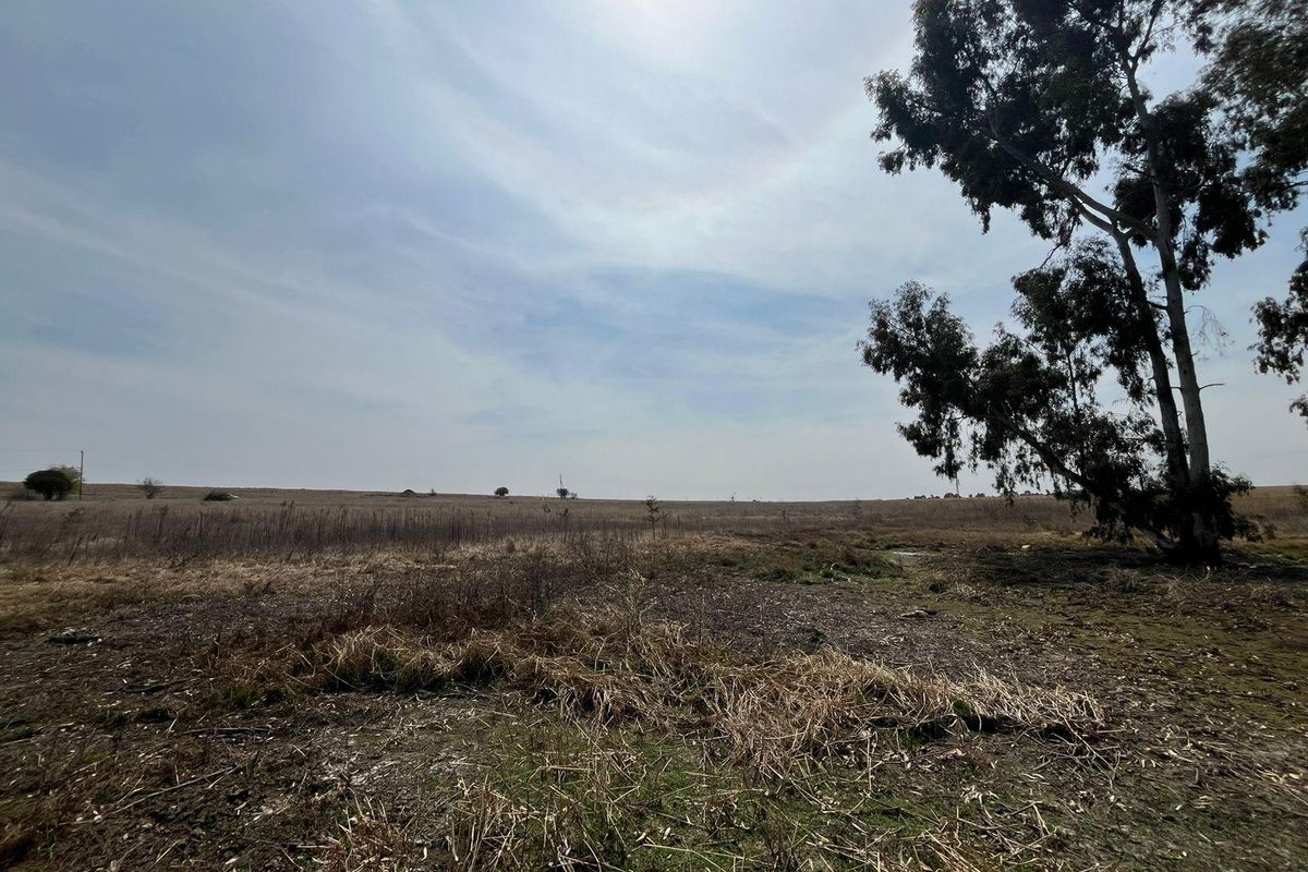 A wide-angle view of the expansive open farm land featuring natural vegetation and mature trees under a bright sky.