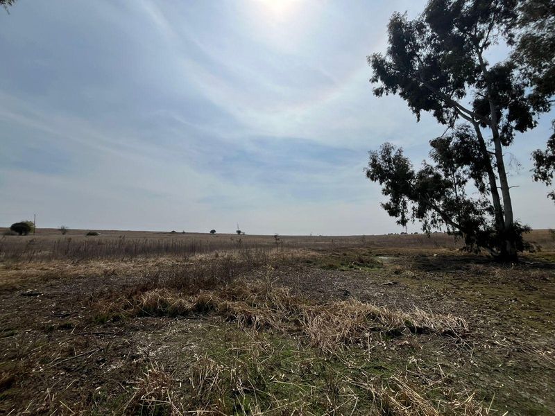 A wide-angle view of the expansive open farm land featuring natural vegetation and mature trees under a bright sky.