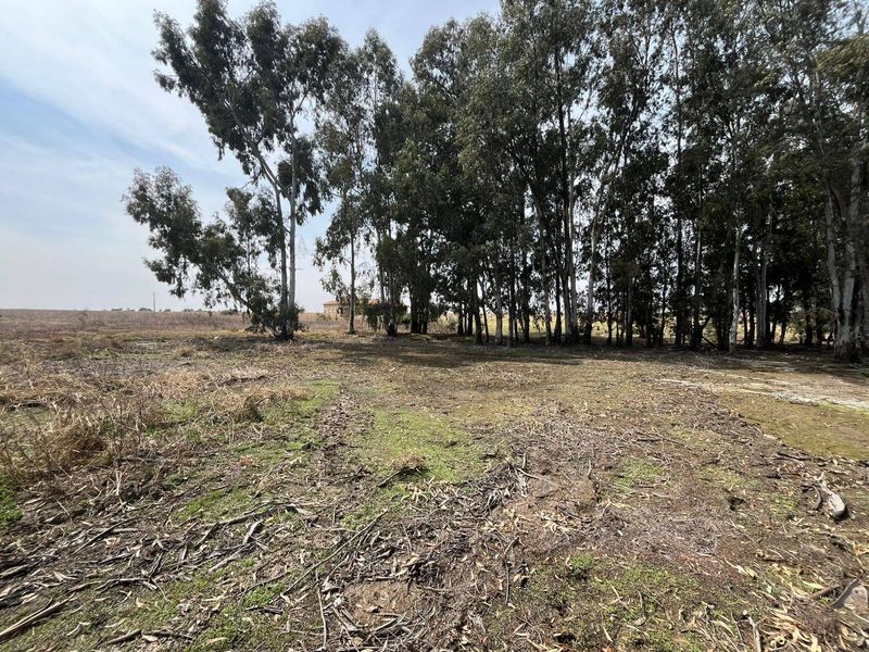 An expansive, undeveloped plot of land on the farm featuring mature trees and natural ground cover, offering significant potential for landscaping or agricultural use.