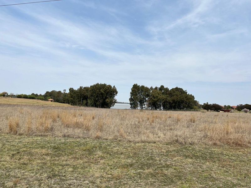 A scenic view of the expansive farm landscape featuring open fields and mature trees under a clear sky.