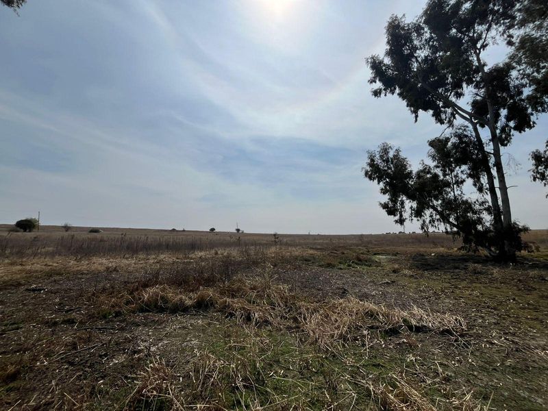 A wide-angle view of the expansive open veld landscape on the farm property, featuring natural vegetation and mature trees under a bright sky.