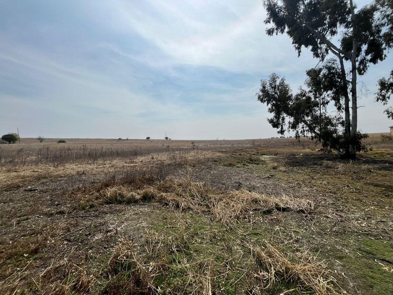 Expansive open farmland landscape featuring dry grass and mature trees, showcasing the natural terrain of the property.