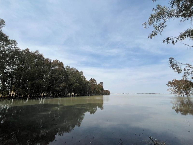 A scenic view of a large, calm lake bordered by a dense line of mature trees under a clear sky.